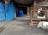 Shop-Mulgi for Sale in Hyderabad